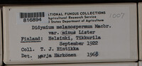 Image Associated With the Occurence